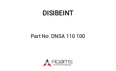 DNSA 110 100